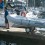   Genesis RIB 310   