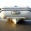   Genesis RIB 310 -  V- 